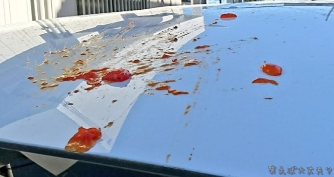 柿が落下した車の天井