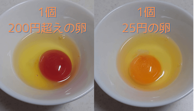 高級卵と普通の卵